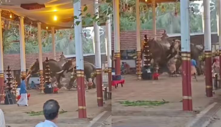 കൊയിലാണ്ടിയിൽ ഉത്സവത്തിനിടെ ആന ഇടഞ്ഞു; രണ്ട് പേര് മരിച്ചു: നിരവധി പേര്ക്ക് പരിക്ക്