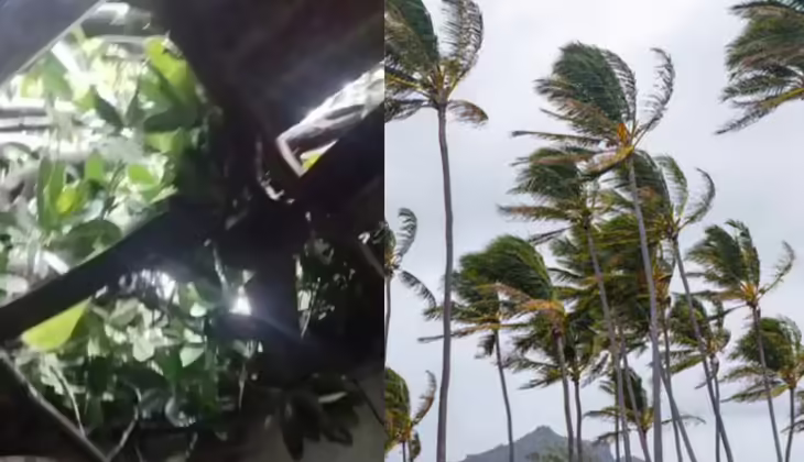 കണ്ണൂരിൽ കനത്ത കാറ്റ്; വീടിന് മുകളിൽ മരം കടപുഴകി വീണു; വയനാട്ടിൽ മഴയിൽ കൃഷിനാശം
