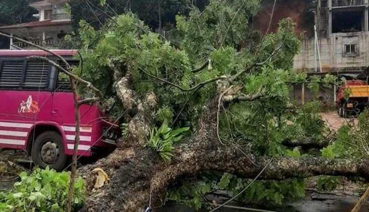 അടിമാലിയിൽ ഓടിക്കൊണ്ടിരുന്ന ബസിന് മുകളിൽ മരം മറിഞ്ഞുവീണു; യാത്രക്കാരന് പരുക്ക്