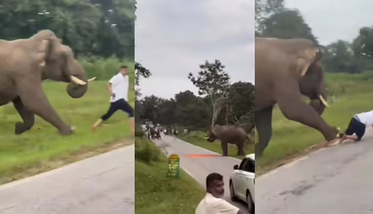 ഫോട്ടോ എടുക്കാൻ പോയി കാട്ടാനയെ പ്രകോപിപ്പിച്ചു; സഞ്ചാരിക്ക് 25,000 രൂപ പിഴ