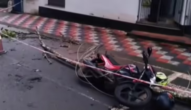 റോഡിൽ പൊട്ടിവീണ വൈദ്യുതി ലൈനിൽ നിന്ന് ഷോക്കേറ്റ് 19കാരൻ മരിച്ചു; അപകട കാരണം പോസ്റ്റിലേക്ക് മരം കടപുഴകിവീണത്