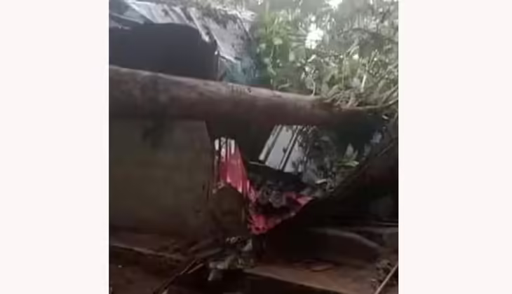 പെരുമ്പാവൂരിൽ മരം കടപുഴകി ലേബർ ക്യാമ്പിന് മുകളിലേക്ക് വീണു; ഒരാൾ മരിച്ചു