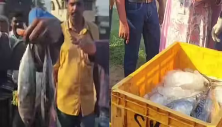 തലസ്ഥാനത്ത് പിടിച്ചെടുത്തത് 385 കിലോ പഴകിയ മത്സ്യം