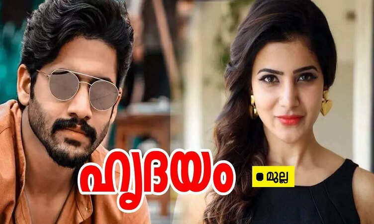 ഹൃദയം: ഭാഗം 20