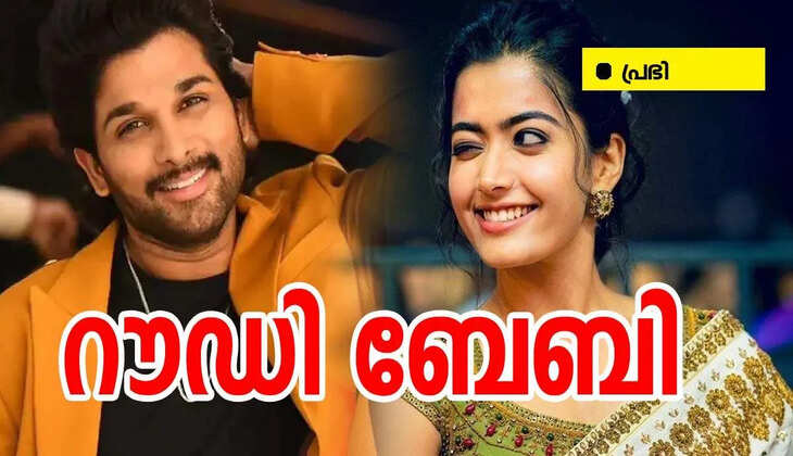റൗഡി ബേബി: ഭാഗം 18 || അവസാനിച്ചു