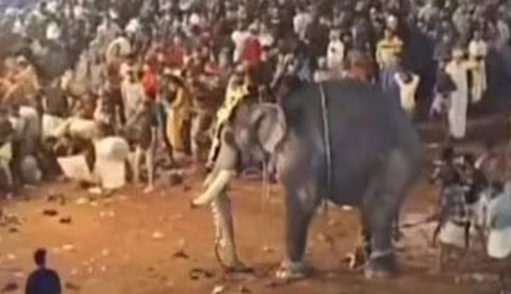 പുതിയങ്ങാടി നേർച്ചക്കിടെ ആന തുമ്പിക്കൈയിൽ ചുറ്റിയെറിഞ്ഞയാൾ ചികിത്സക്കിടെ മരിച്ചു
