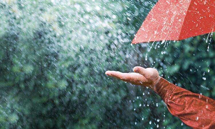 ഇന്നും ഒറ്റപ്പെട്ട ശക്തമായ മഴയ്ക്ക് സാധ്യത; നാല് ജില്ലകളിൽ യെല്ലോ അലർട്ട്