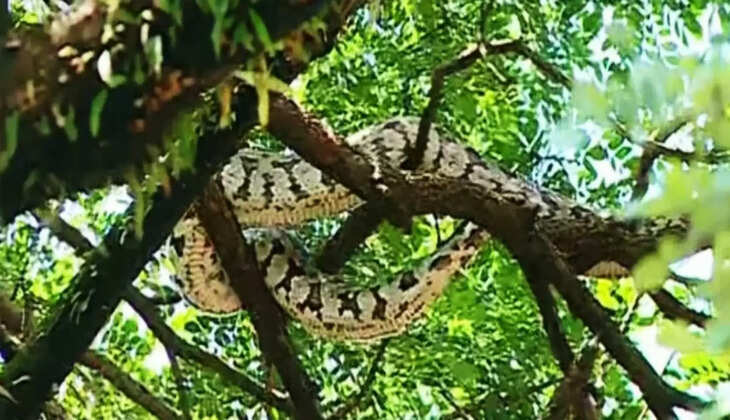 കൊച്ചി