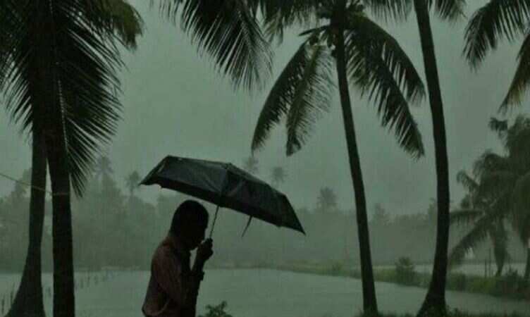 rain