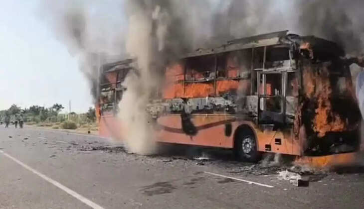 bus
