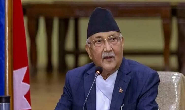 kp oli